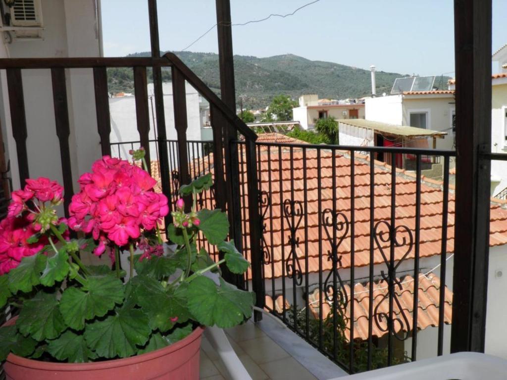 Eleni'S House Skiathos Exterior foto