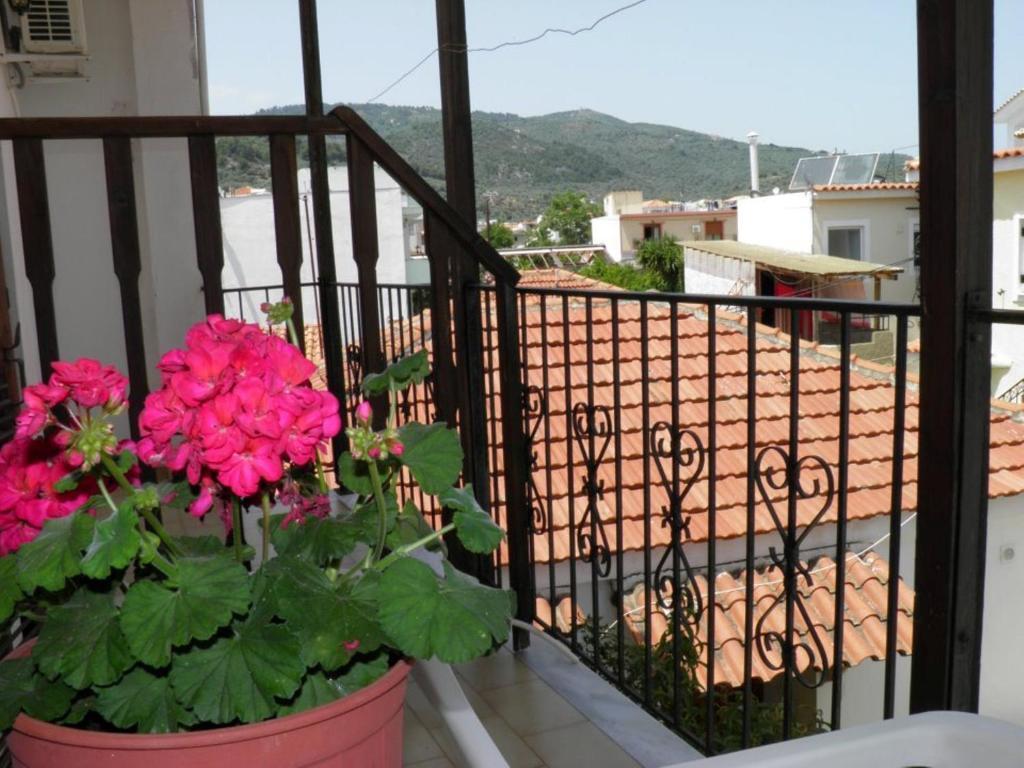 Eleni'S House Skiathos Hotel Exterior foto